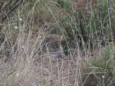 Wo hat er sich versteckt?