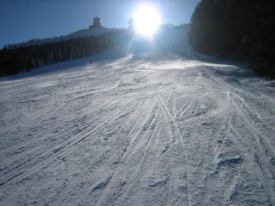 Bilder aus dem Bayrischen Wald